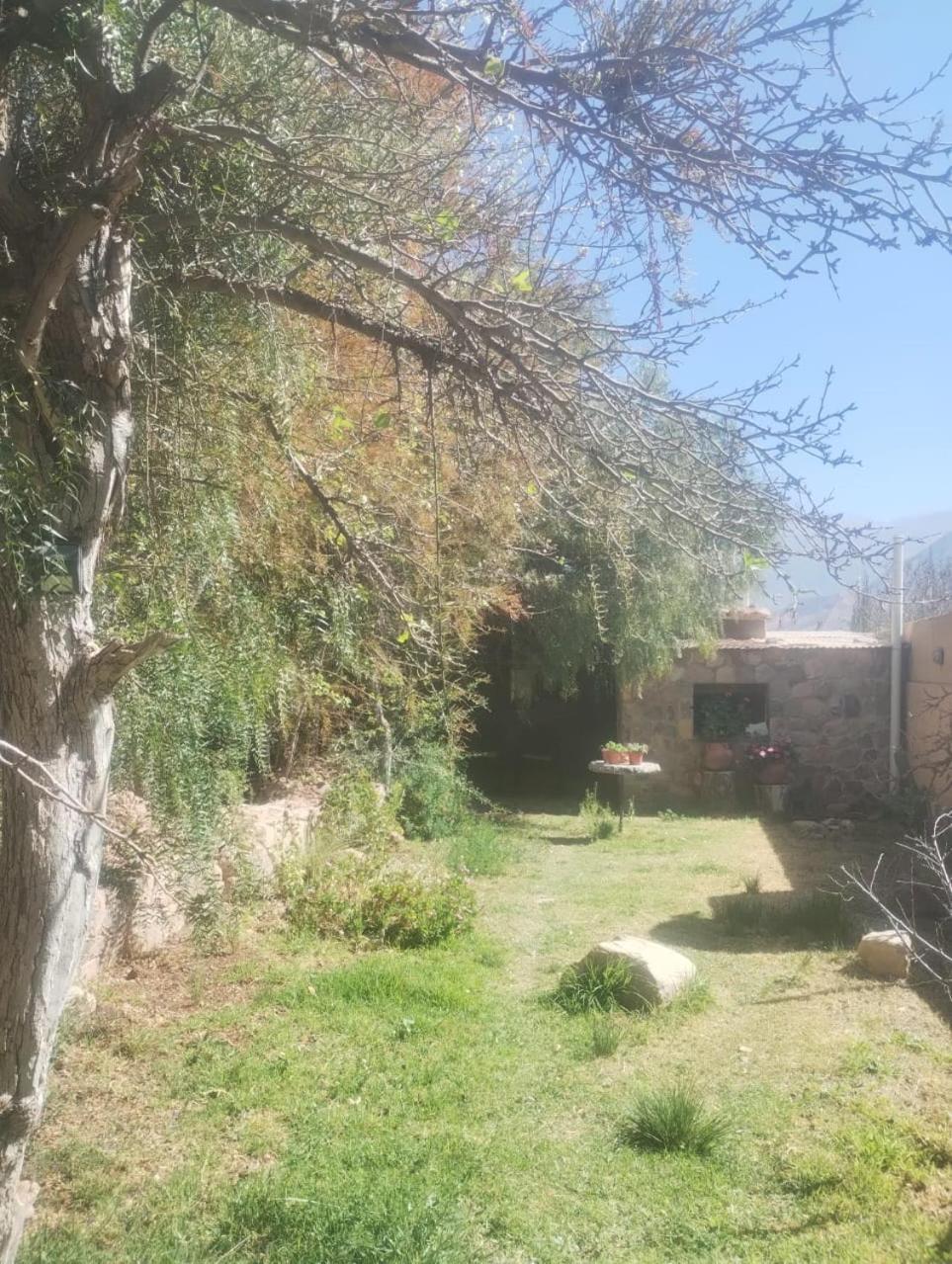 Hôtel La Casita à Tilcara Extérieur photo
