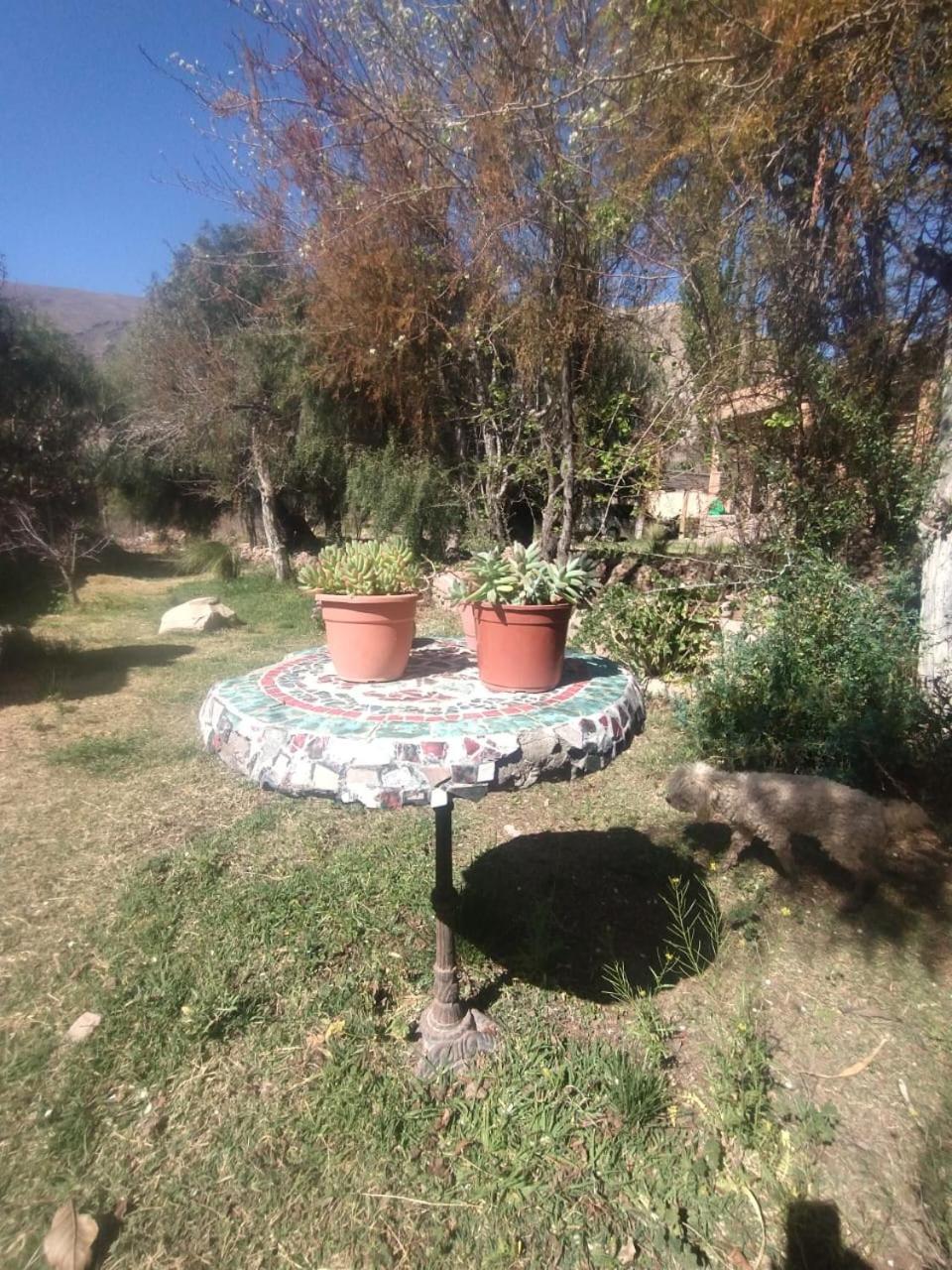 Hôtel La Casita à Tilcara Extérieur photo